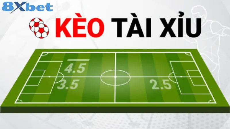 Kinh nghiệm cá cược tài xỉu ăn ngay